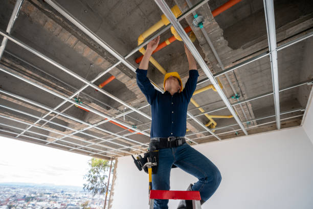 Best Leak Detection Services  in Al Creek, CO